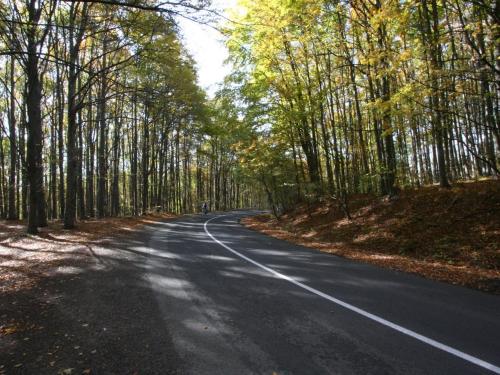 Szakaszos útlezárás