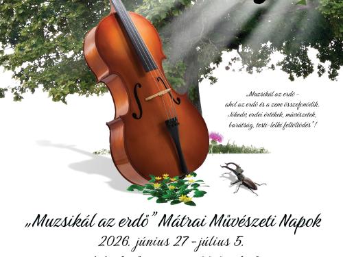 muzsikalazerdo